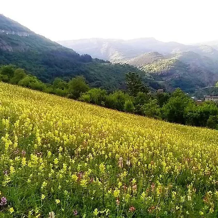 Odmor Tserovo